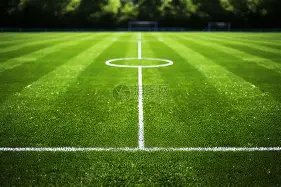 罗纳尔多二,次发声,狱后生活艰,金贝娱乐官网,JINBEI金贝娱乐官网,金贝娱乐官网在线娱乐平台