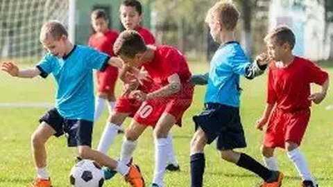 世界反兴奋剂组织领导：忧虑罗琴科夫法案干预过深