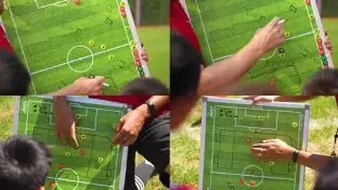 中国女排勇夺桂冠：2025赛季连胜十场，蝉联世界杯荣耀