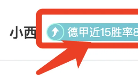 《篮坛焦点：深入剖析森林狼与独行侠，篮球盛宴不容错过，同步精彩瞬间！》