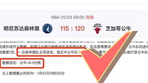 篮球盛宴：巅峰对决！国王与猛龙巅峰对决，解码关键战局！